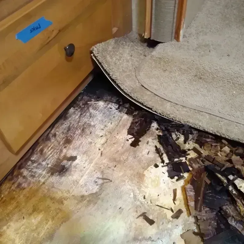 Wood Floor Water Damage in Mount Clemens, MI